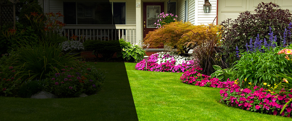 Whiteland Landscapers