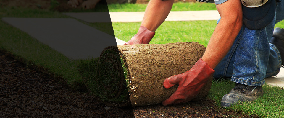 Whiteland Landscapers